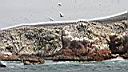Iles ballestas